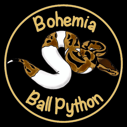 bohemia balls logo